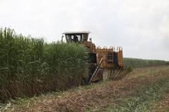 Specialized Equipment for Sugar Cane Farmers | The Sugar ...