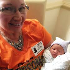 Turtle Soup In a heavy pot, brown diced turtle meat (or beef/veal as a  substitute) in butter. Add chopped onion, celery, carrot, and garlic,  cooking until softened. Stir in flour to make