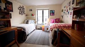 Top 10 Dorms At Nyu Oneclass Blog In 2020 College Dorm Room Decor Nyu Campus Apartment Style Living