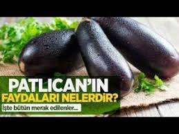 Dr Feridun Kunak Patlican Youtube Patlican Patlican