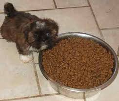 Purchase Natural Balance Puppy Food Ingredients Up To 74 Off