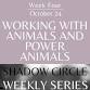 Shadow Work - Power Animals & Animal Allies event image