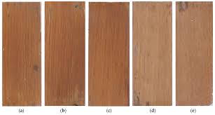 Water based polyurethane on red oak. Coatings Free Full Text Improving The Performance Of Clear Coatings On Wood Through The Aggregation Of Marginal Gains Html