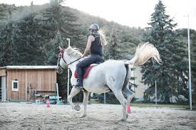 What Is The Best Horse Riding Body Protector On The Market