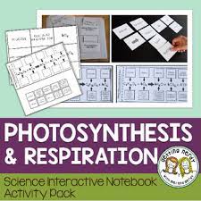 Science Interactive Notebook Respiration And Photosynthesis