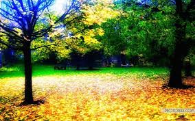 Beautiful Photographic Pictures Hd Nature Wallpapers Beautiful Nature Wallpaper Beautiful Nature Wallpaper Hd