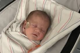 Fundraiser by Mila Johnson : Support Maria and Maurizio