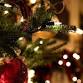 Naples Ballet - The Nutcracker