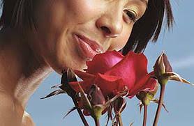 I used david's tea flavours: How To Make Perfume Out Of Flowers From Your Garden Howstuffworks