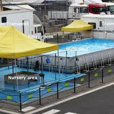 Pdf Welfare Of Sea Lions In Travelling Circuses