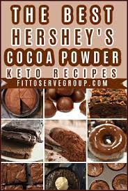 Best Hershey S Cocoa Powder Keto Recipes Keto Dessert Recipes Cocoa Powder Recipes Keto Fudge