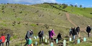 The Forktree Project Planting Day