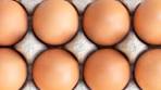 Video How Long Can Eggs Really Last? - YouTube
