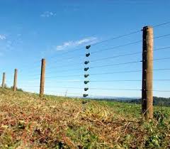 The electric fence charger sends pulses of electrons down the electric fence wires but wire insulators prevent the electric charge from reaching. Electric Fencing Hertfordshire Essex Farm And Country Fencing