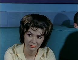 The Classic TV History Blog