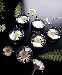 Daisy Jewelry Daisy Small Necklace Pressed Dried Flower Necklace Daisy Terrarium Pendant Real Daisy Flower J Daisy Jewelry Terrarium Necklace Flower Jewellery