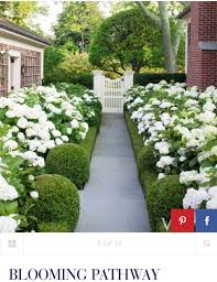 Pin By Molly Luke On Zone 6 Beautiful Gardens White Gardens Hydrangea Garden