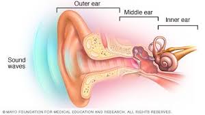 Slide Show How You Hear Middle Ear Hearing Loss Outer Ear