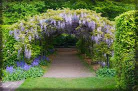 Wisteria Arch By Seanw789 Wisteria Garden Garden Planning Garden Paths