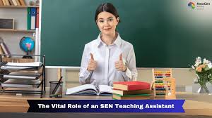 The Vital Role of An SEN Teaching Assistant