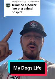 Mitchell Valley Animal Hospital