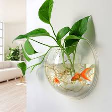 Maybe you would like to learn more about one of these? Buy A Fishless Fishbowl To Hold All Your Clutter Hanging Terrarium Plant Wall Fish Tank Wall