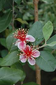 Pin On Lansdowne Walk