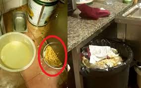 We did not find results for: Roma Chiuso Ristorante Cinese Feci Di Topo In Cucina