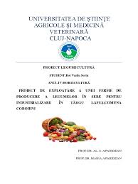 Cel mai eficient tip de seră legume o seră este nu doar sursă de legume proaspete, ci poate fi amenajată și ca spațiu de relaxare. Proiect Legume Pdf