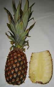 Pineapple Wiktionary