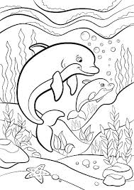Cute Animals Coloring Pages Nice Ocean Animals Coloring Page Ocean Dolphin Coloring Pages Mermaid Coloring Pages Ocean Coloring Pages