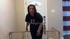 Check spelling or type a new query. How To Stop A Dog From Running Out The Front Door Dog Training Nation