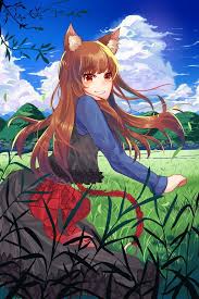 Pin By Chuuya Nakahara On Anime Spice And Wolf Holo Spice And Wolf Fox Artwork