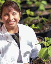 Seminar Series 2020/2021