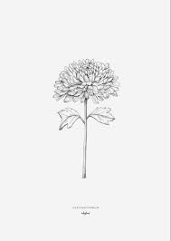 Chrysanthemum Tattoo Chrysanthemum Tattoo Birth Flower Tattoos Chrysanthemum Flower Tattoo