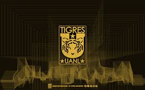 Club Tigres Ligrafica Mx 170414ctg Elfutbolnosinspira Tigres Uanl Tigre Club Tigres