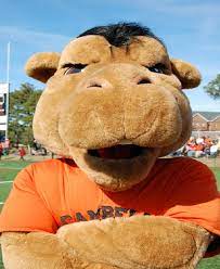 The camel cache series was placed to highlight locations on the campus of campbell university and to create geocaching many stories exist as to the origin of the nickname fighting camels and the adoption of a camel as the mascot of campbell university athletic teams. Campbell University Gaylord The Camel Strangest College Mascots