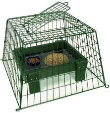 Caged Bird Feeders For Small Birds Uk Ground Feeder Guardians Ground Bird Feeder Bird Feeders Uk Bird Feeding Station