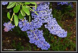 Cajon Pass March 2019