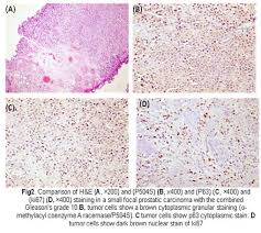 Helpful test taking strategies detailed content review questions for regents practice six actual. 2