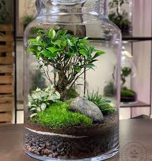 Terravivadesign Never Disappoints Terrariumdreams Terrariumdreams Terrariumdreams Succulent Terrarium Mini Garden Terrarium