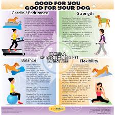 Dogtread Fun Dog Fitness By Petzen Fun Dog Fitness By Petzen Infographic What S Good For You Is Good Dog Infographic Dog Exercise Agility Training For Dogs