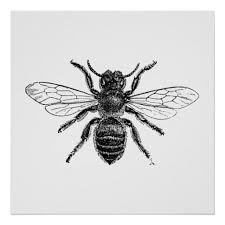 Black And White Wasp Like Insect Uk Bee Insect Vintage Engraving Poster Zazzle Co Uk Honey Bee Tattoo Bee Beetle Tattoo