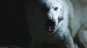 Don T Bite The Hand That Feeds You Gif Https Encrypted Tbn0 Gstatic Com Images Q Tbn 3aand9gcsjpia227vhyw 7qeo89o0plruexdjgyzlx4a Usqp Cau