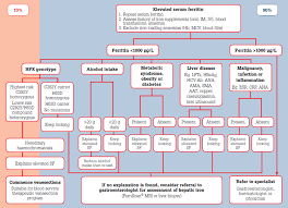 Racgp Elevated Serum Ferritin What Should Gps Know