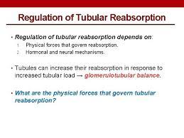 Tubular Processing Of Filtrate Dr Maha Saja Mbbs