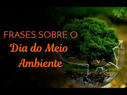 Frases do meio ambiente os melhores pensamentos sobre a natureza. Frases Sobre O Dia Do Meio Ambiente Querido Jeito Youtube