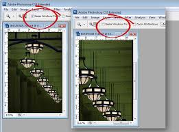 Click the left mouse button in the image area, if you. 8 Secrets Of The Zoom Tool In Photoshop