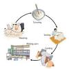 The most satisfactory textile fibre is gathered from its strength is similar to that of wool having a similar diameter but is less than that of mohair. Https Encrypted Tbn0 Gstatic Com Images Q Tbn And9gcqtqenkcxr7aip6kpdvr5vfaayatlp4xtvj34r2qjocp Vhnbau Usqp Cau