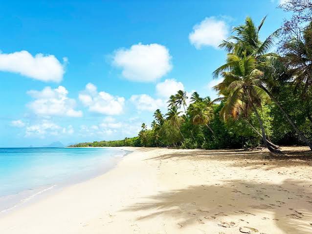 Les Salines Martinique : Plage d'Outre-mer Incontournable pour Ton Voyage - Outremer Tourisme